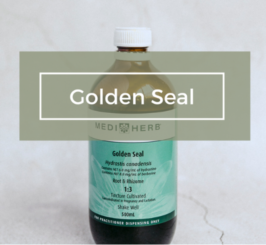 MediHerb Golden Seal