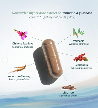 Orthoplex AdrenoEnhance (AdrenoSupport )