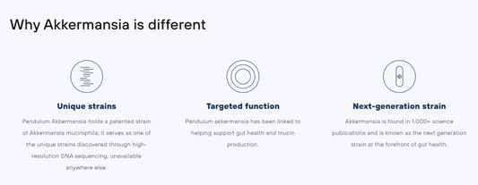 Akkermansia