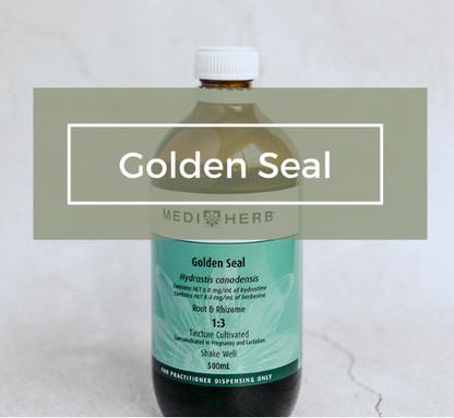 MediHerb Golden Seal 