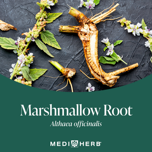 Mediherb Marshmallow Root