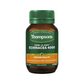 Thompsons One-A-Day Echinacea 4000 60tab